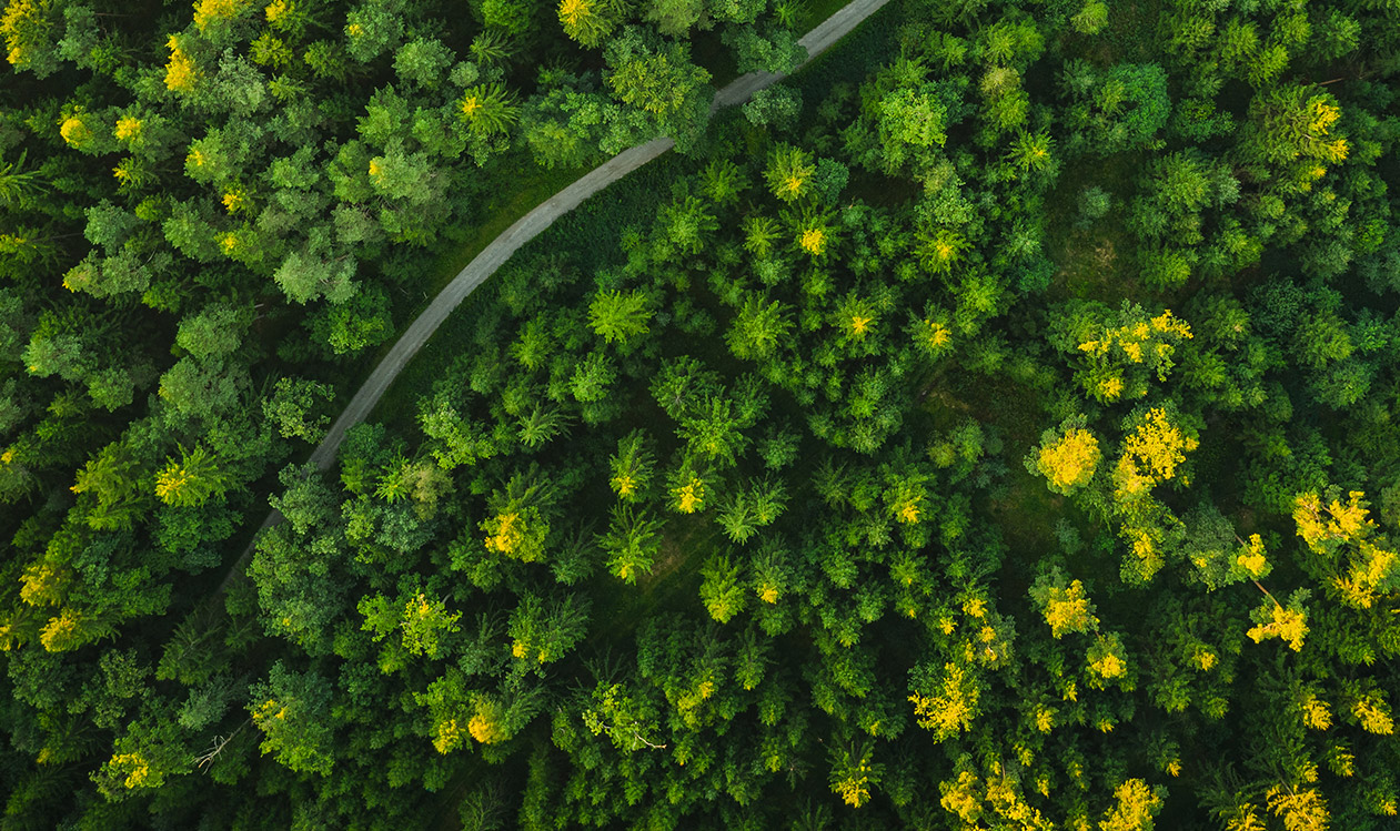 MUSE Sustainability &amp; reporting