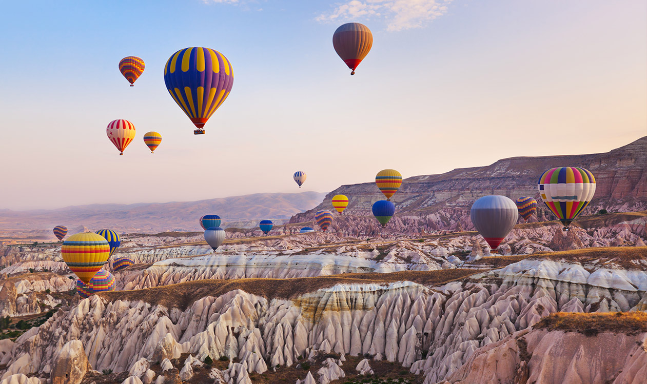 MUSE Strategy strategic solutions for international growth